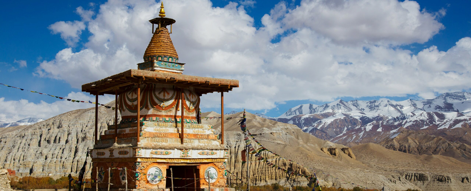 Himalayan view